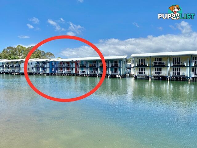 Unit 1601 Island Street SOUTH STRADBROKE QLD 4216