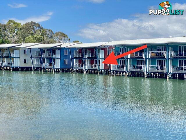 Unit 1601 Island Street SOUTH STRADBROKE QLD 4216