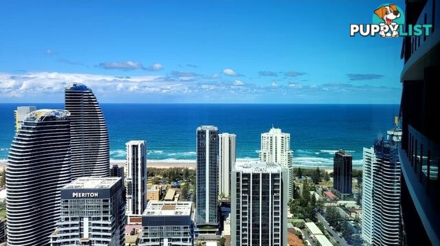 14513/5 The Darling Avenue BROADBEACH QLD 4218