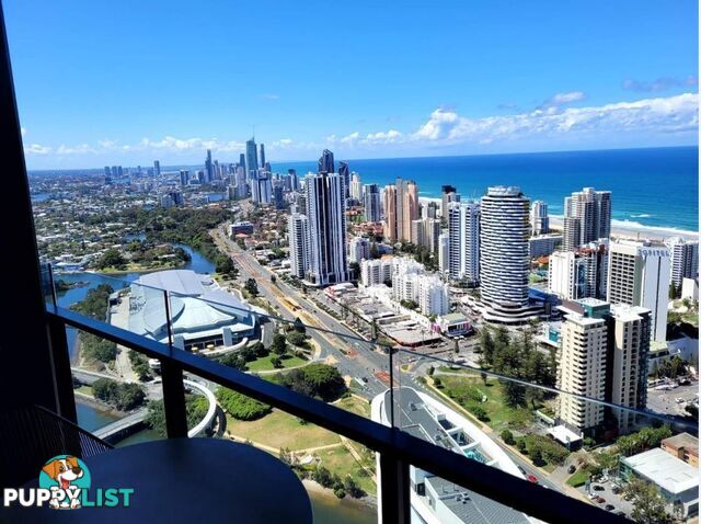 14513/5 The Darling Avenue BROADBEACH QLD 4218