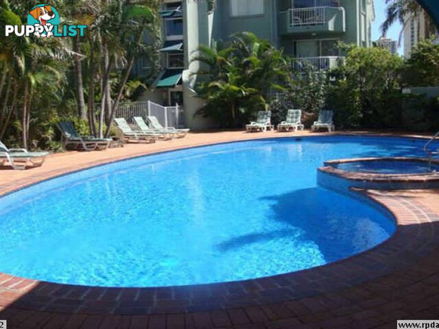 42 11 Breaker Street MAIN BEACH QLD 4217