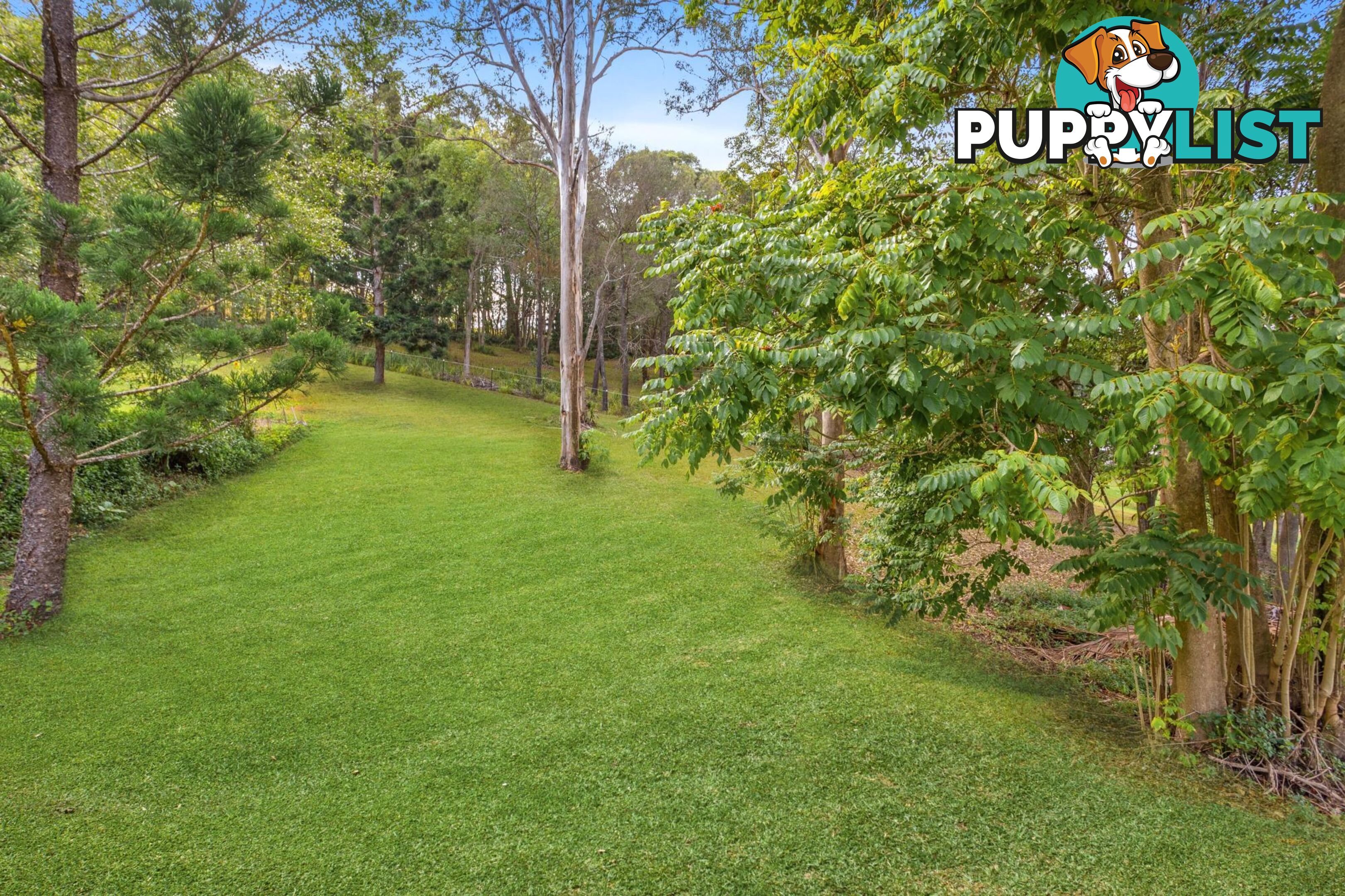 750 Tallebudgera Creek Road TALLEBUDGERA VALLEY QLD 4228