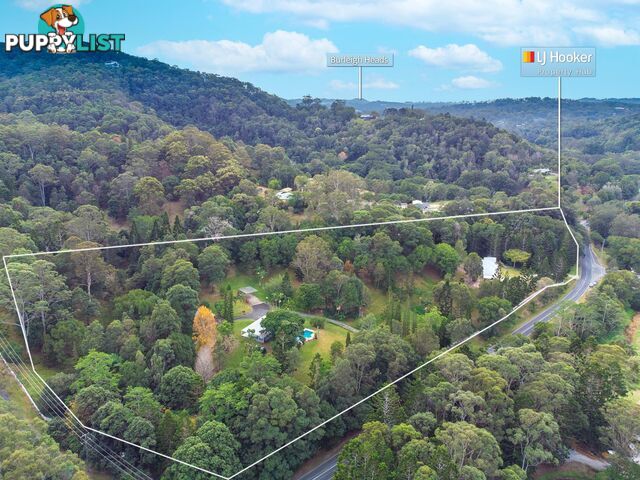 750 Tallebudgera Creek Road TALLEBUDGERA VALLEY QLD 4228