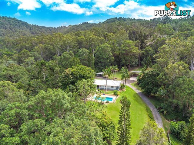 750 Tallebudgera Creek Road TALLEBUDGERA VALLEY QLD 4228