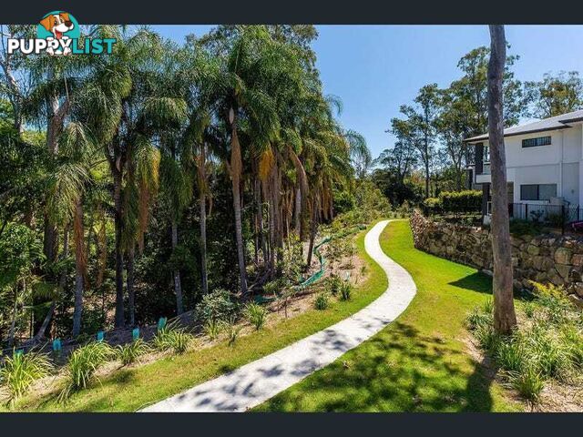 15/26 Nikau Crescent NERANG QLD 4211