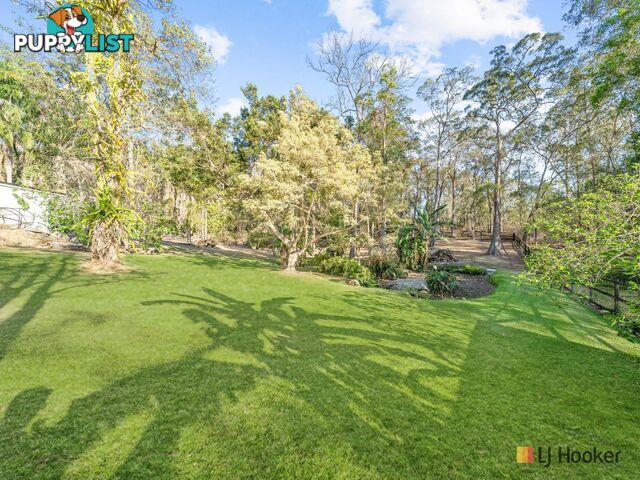 6 Carrama Court MUDGEERABA QLD 4213