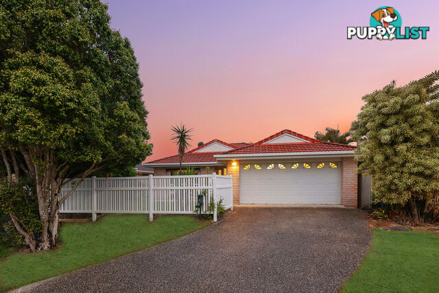 6 Redwing Court BURLEIGH WATERS QLD 4220