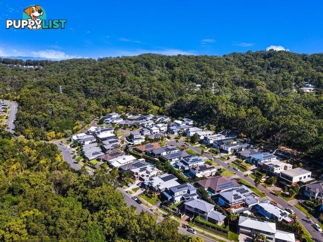 3 Eden Circuit REEDY CREEK QLD 4227