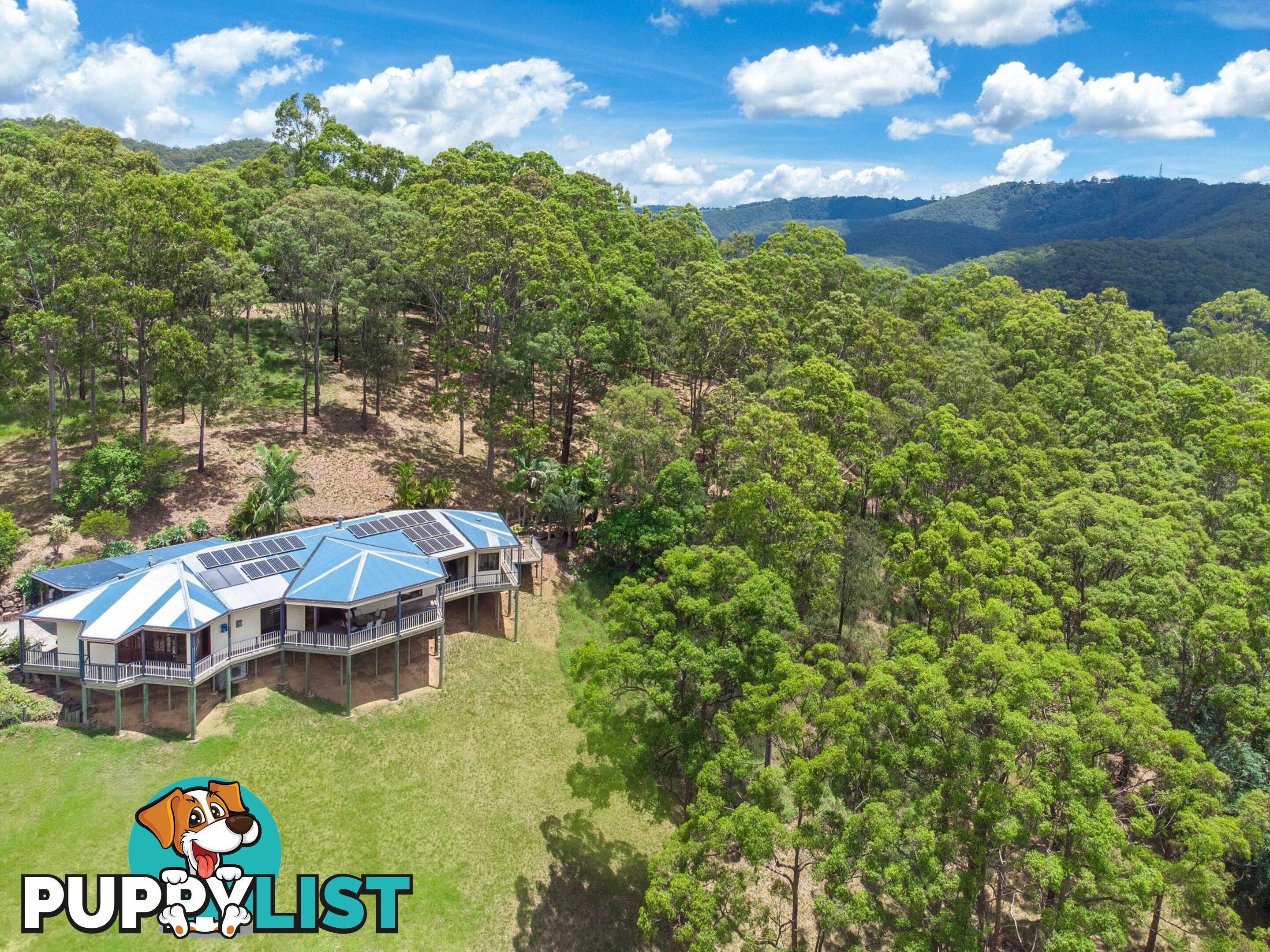 118 Clagiraba Road CLAGIRABA QLD 4211