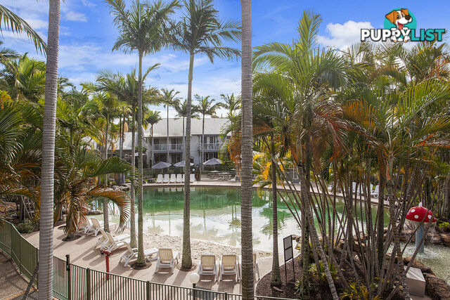 76/2320-2330 Gold Coast Highway MERMAID BEACH QLD 4218