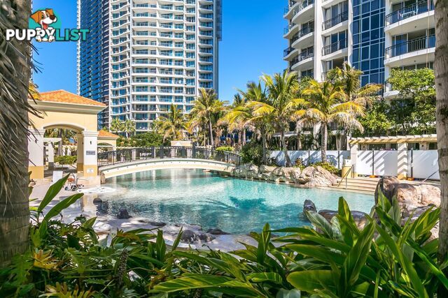 1195/23 Ferny Avenue SURFERS PARADISE QLD 4217