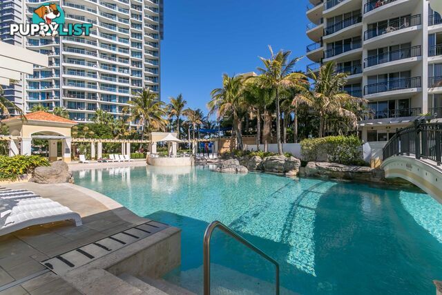 1195/23 Ferny Avenue SURFERS PARADISE QLD 4217