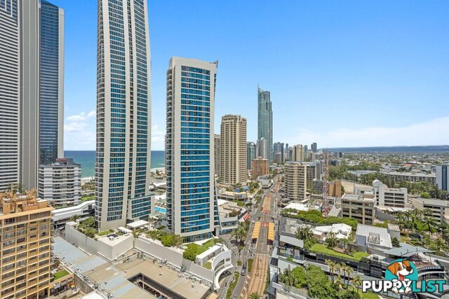 1195/23 Ferny Avenue SURFERS PARADISE QLD 4217