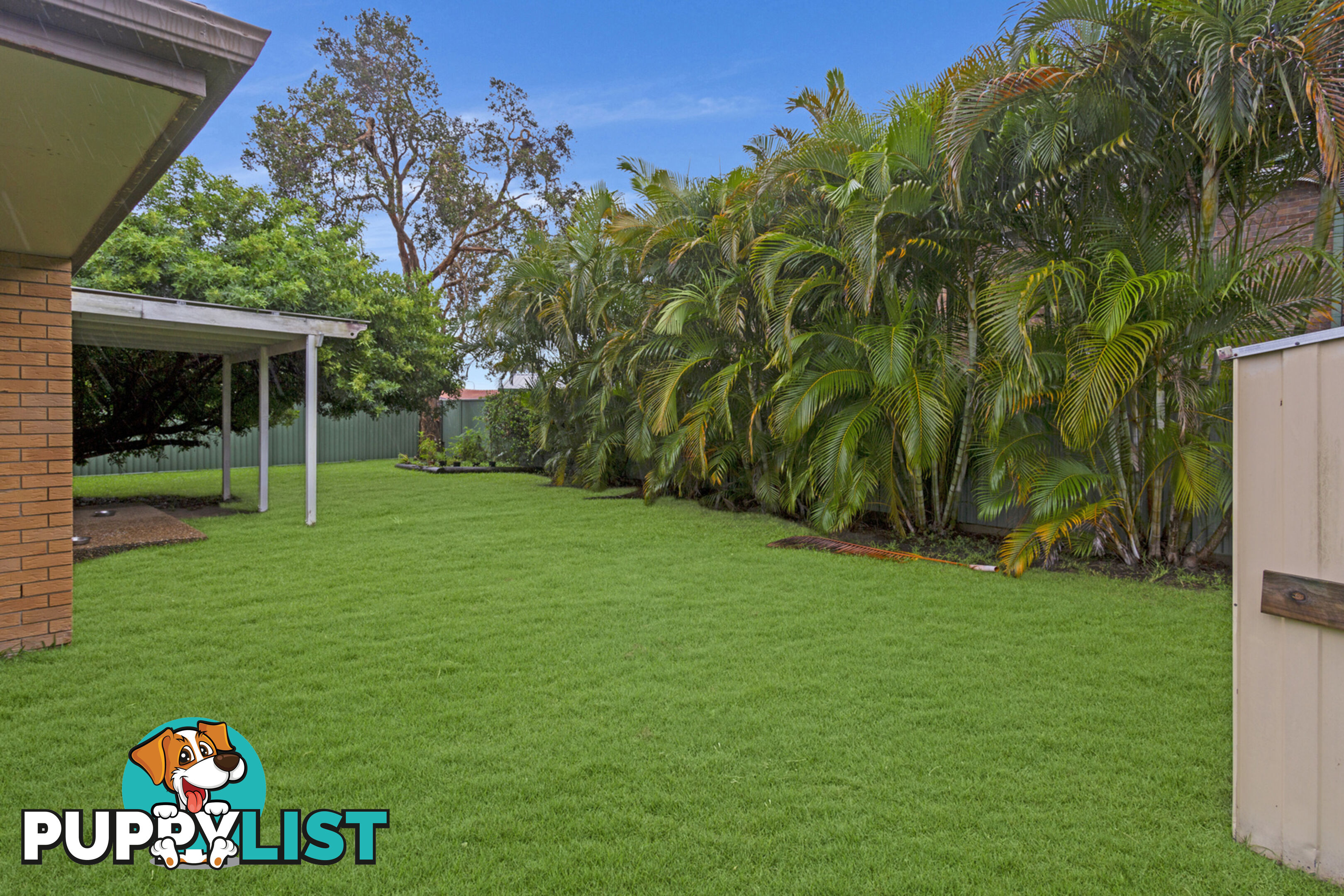 11 Tattler Way BURLEIGH WATERS QLD 4220