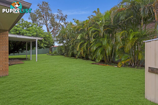 11 Tattler Way BURLEIGH WATERS QLD 4220