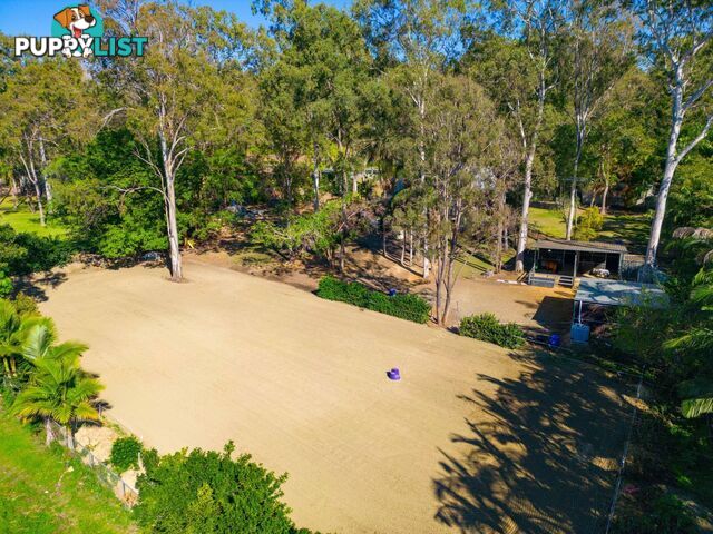 80 Quambone Street WORONGARY QLD 4213