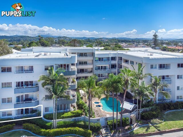 6/14 Jefferson Lane PALM BEACH QLD 4221