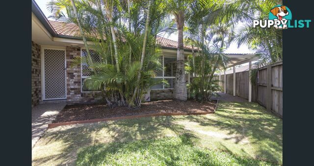 37 Thornleigh Crescent VARSITY LAKES QLD 4227