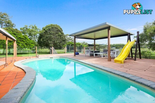 66 Valley Drive TALLEBUDGERA QLD 4228