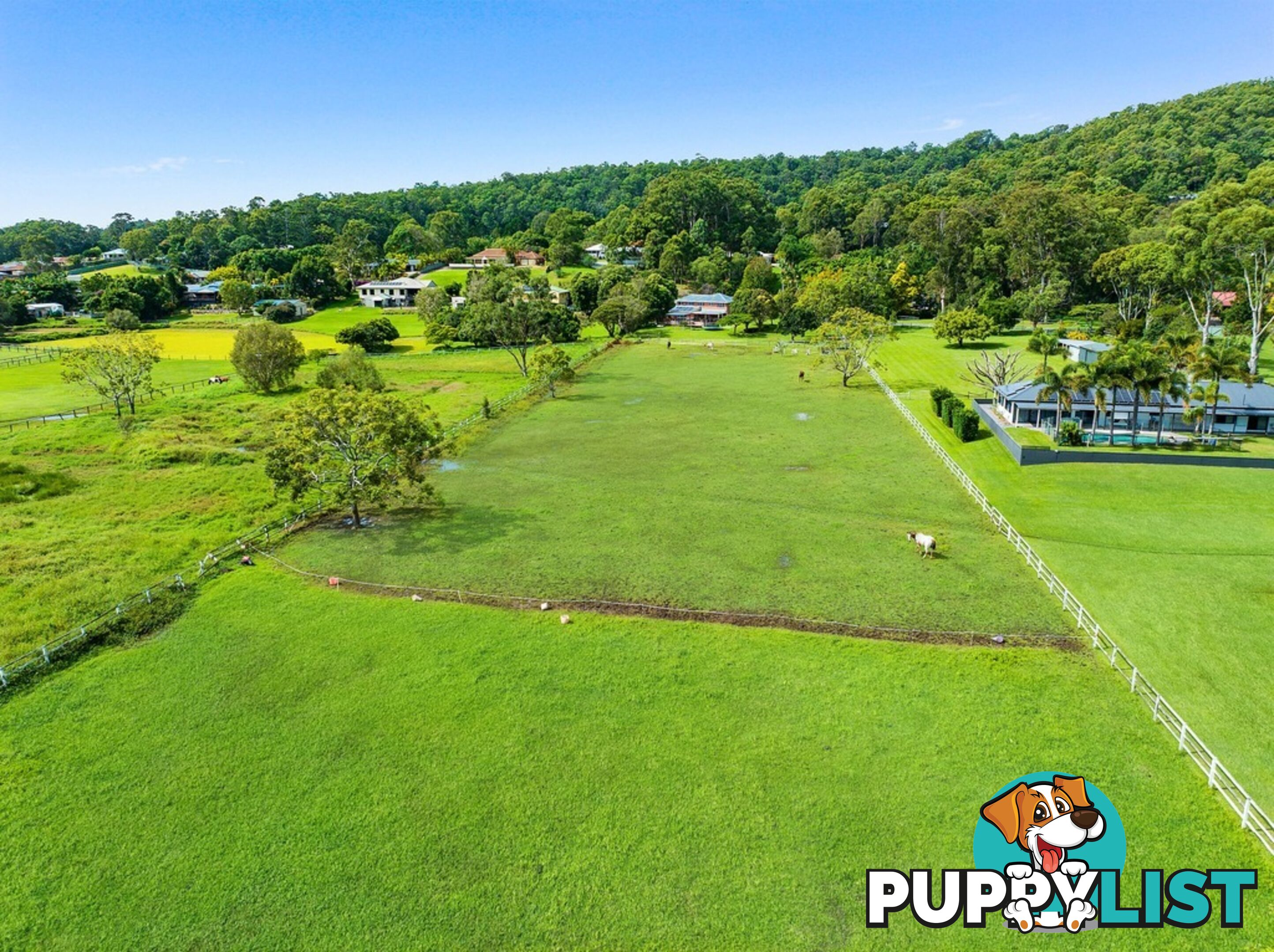 66 Valley Drive TALLEBUDGERA QLD 4228