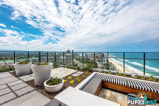 1106/3440 Surfers Paradise Boulevard SURFERS PARADISE QLD 4217