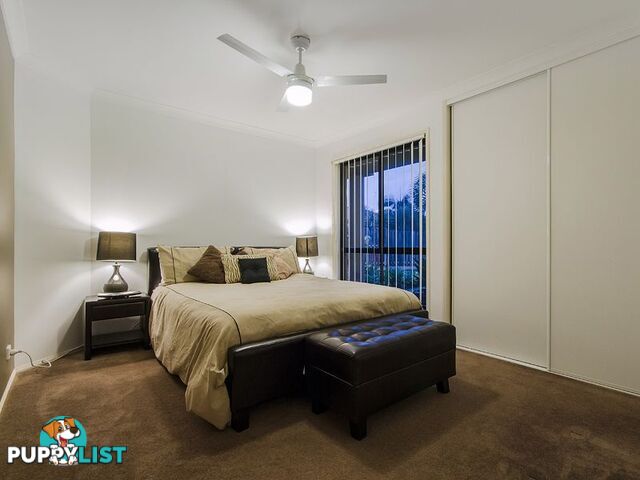 16 Camphor Wood Court ROBINA QLD 4226