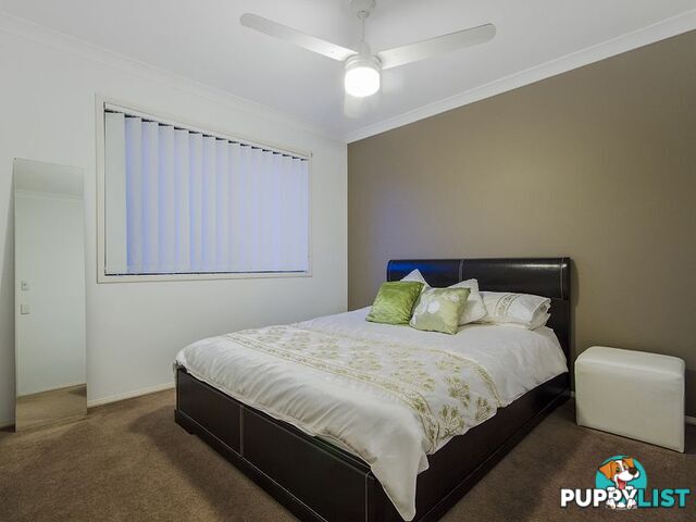 16 Camphor Wood Court ROBINA QLD 4226