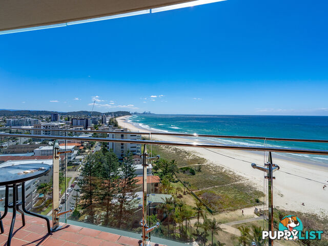 15D/969 Gold Coast Highway PALM BEACH QLD 4221