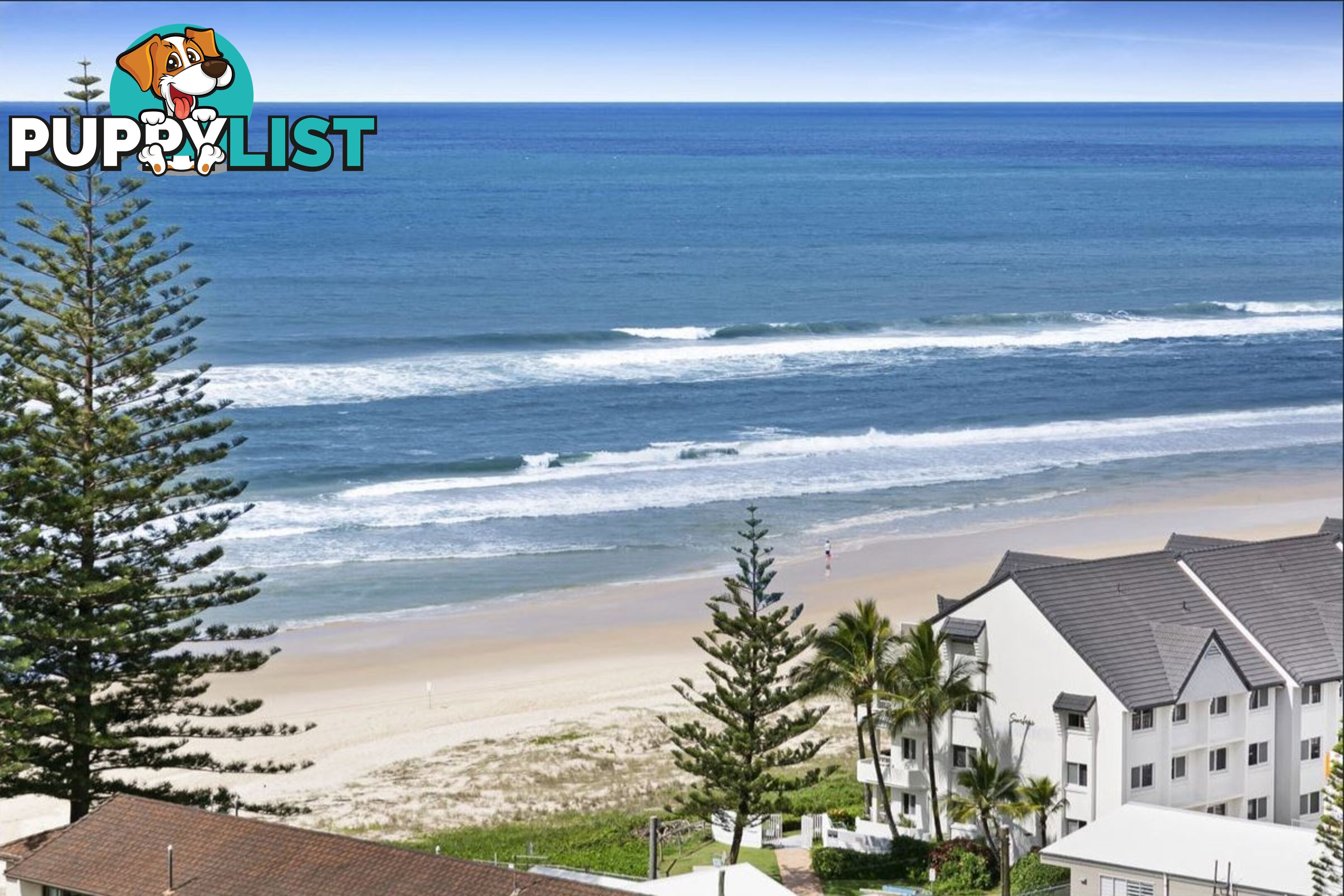 21202/1328 Gold Coast Highway PALM BEACH QLD 4221