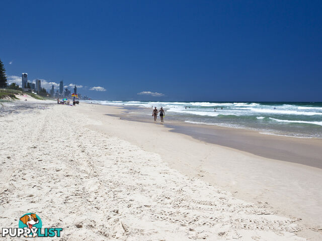 338/2342-2358 Gold Coast Highway MERMAID BEACH QLD 4218