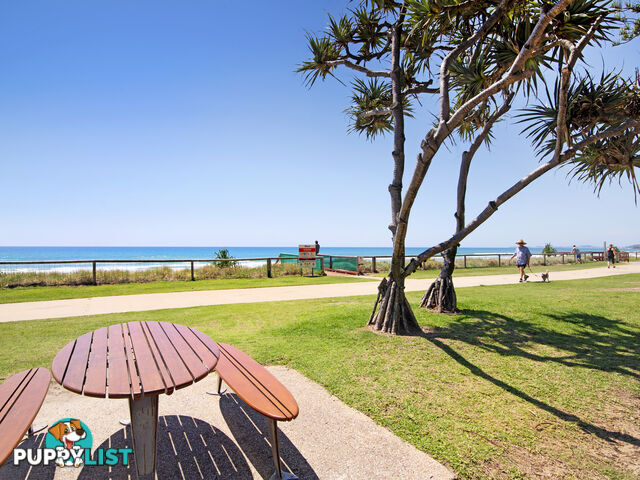 338/2342-2358 Gold Coast Highway MERMAID BEACH QLD 4218