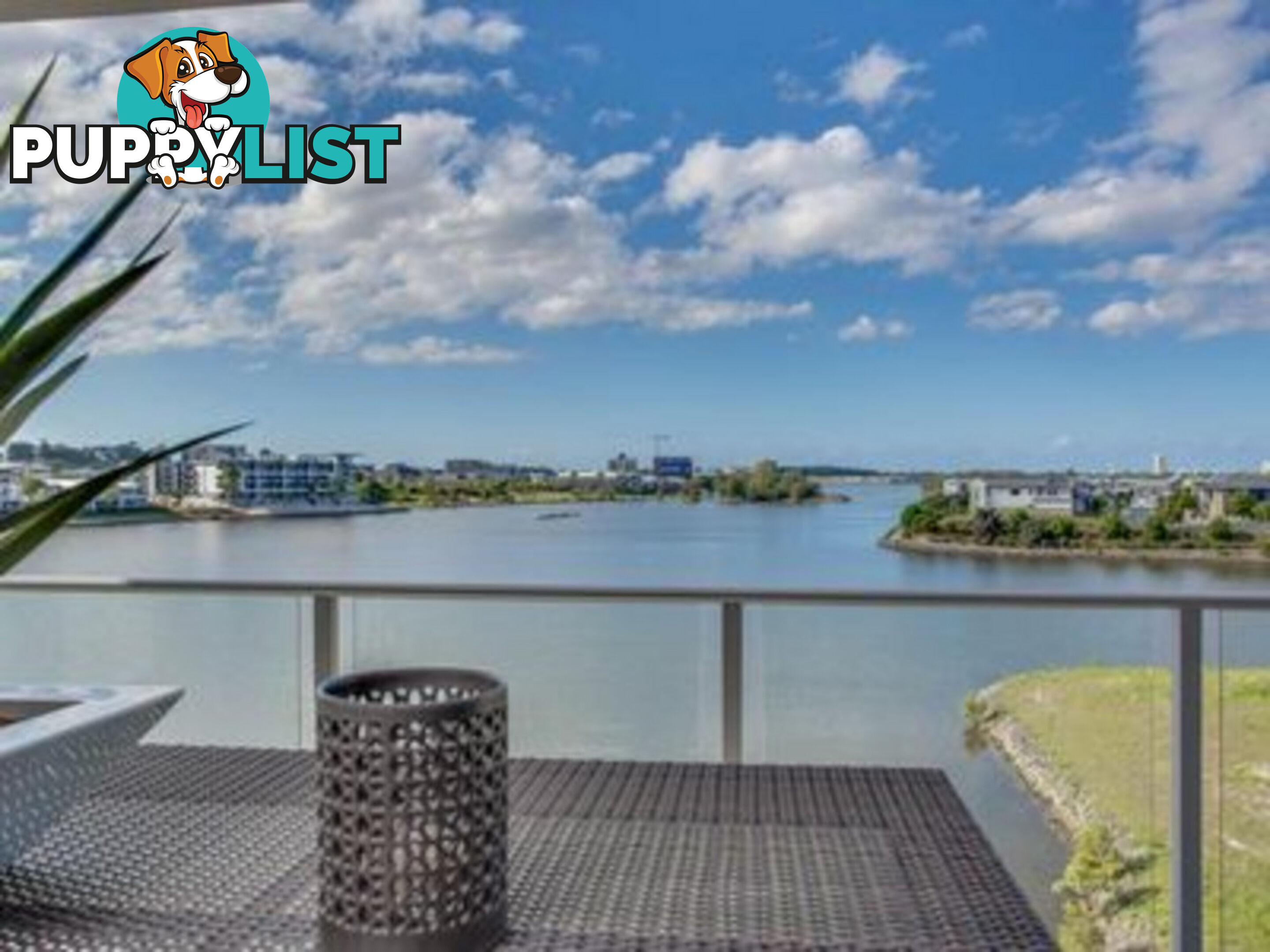 2306/397 Christine Avenue VARSITY LAKES QLD 4227