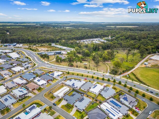 34A Looby Crescent PIMPAMA QLD 4209