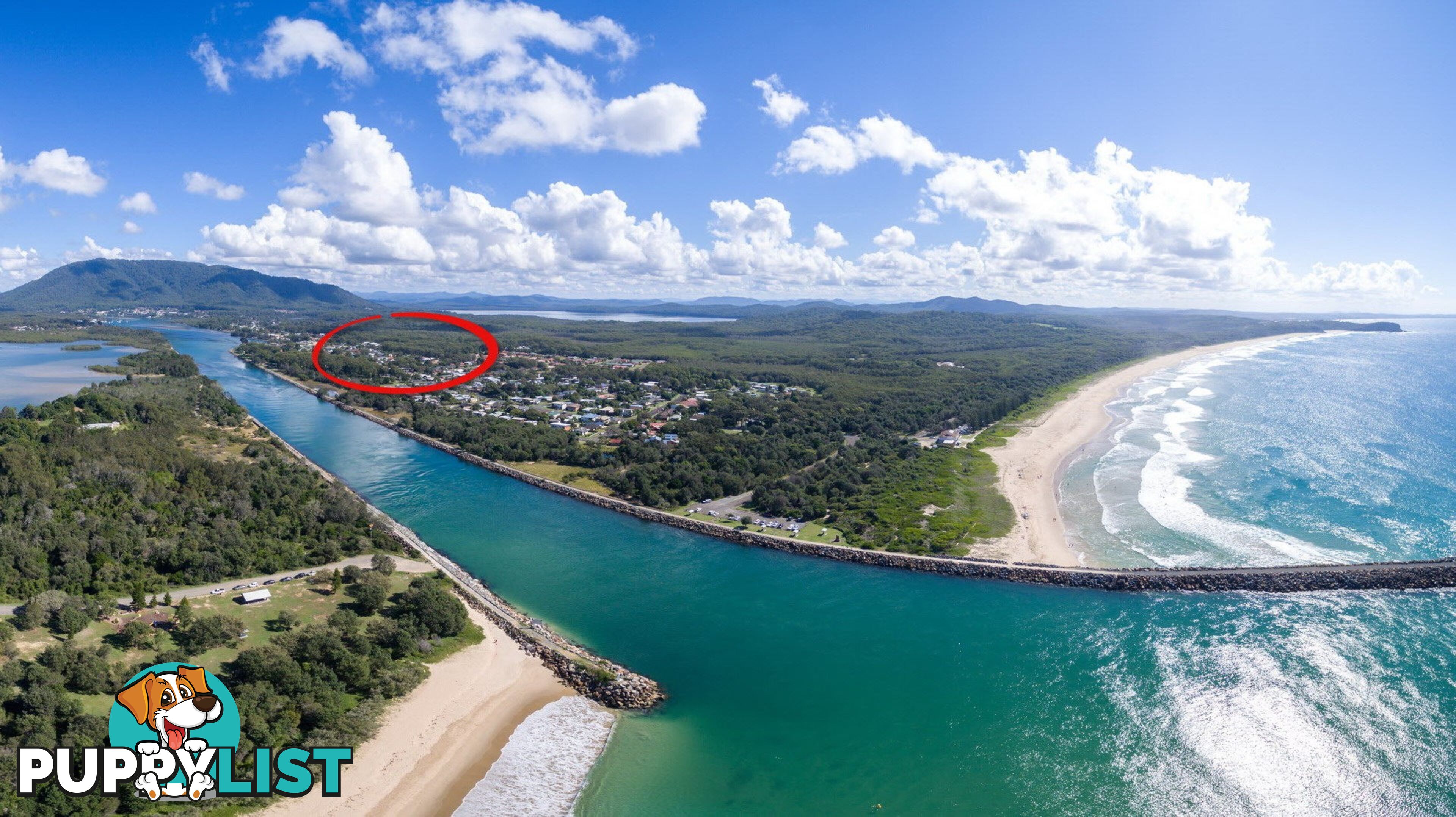 6 Coral Street NORTH HAVEN NSW 2443