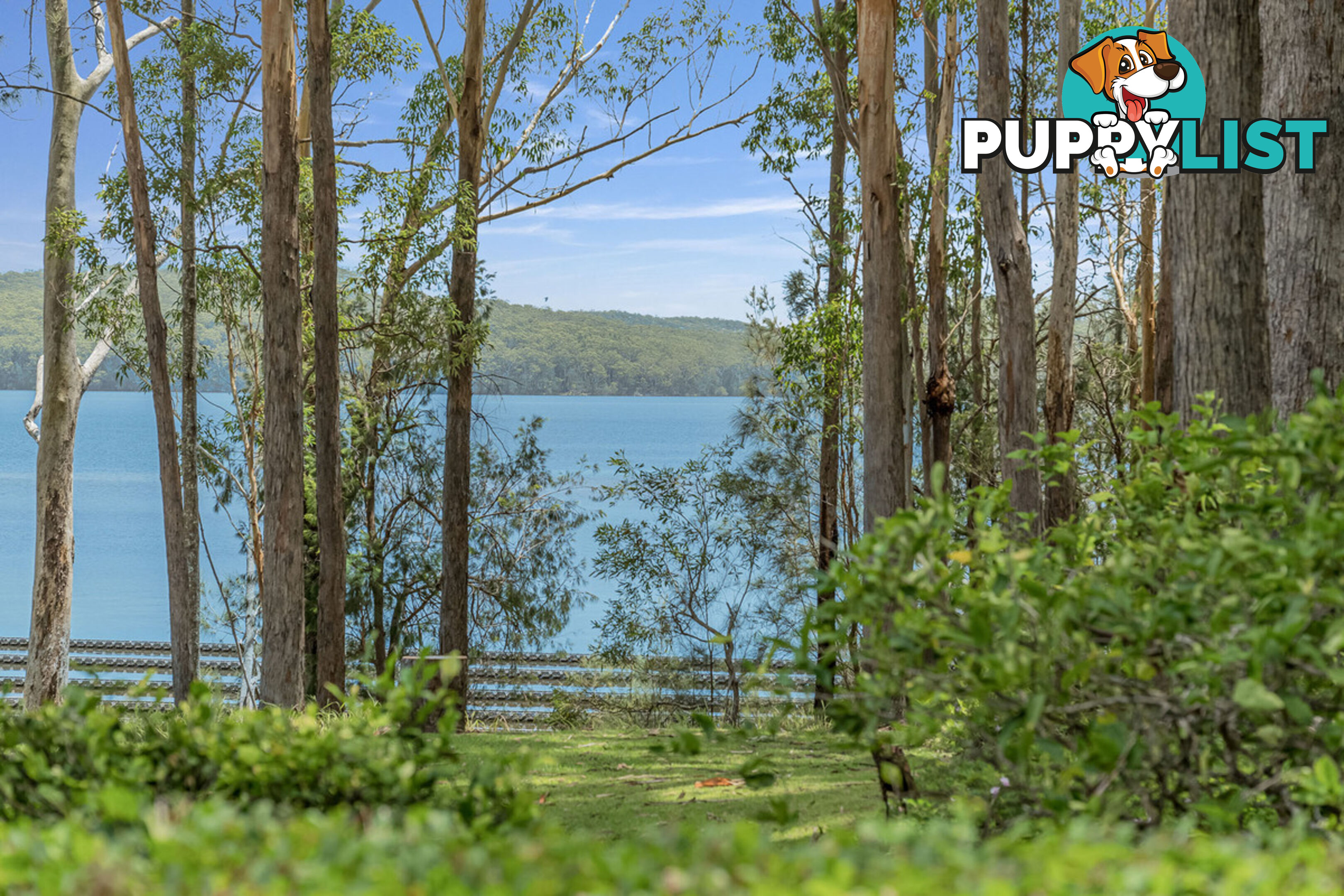 10 Lakeview Crescent WEST HAVEN NSW 2443