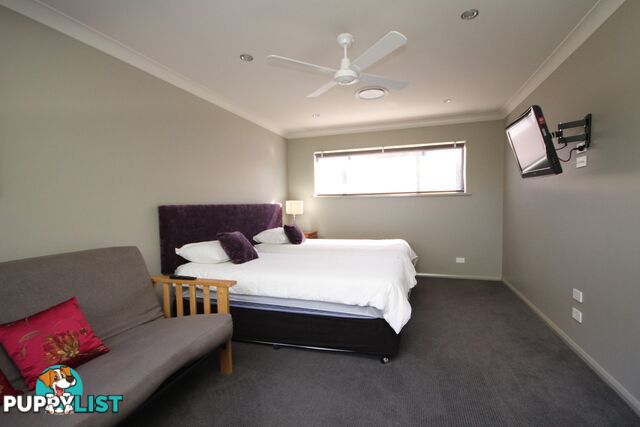 3/16 David Campbell Street NORTH HAVEN NSW 2443