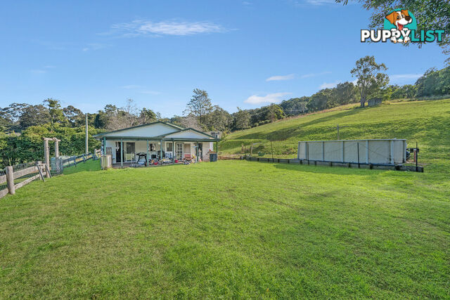 325 Black Creek Road BLACK CREEK NSW 2439