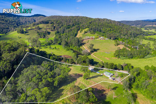 325 Black Creek Road BLACK CREEK NSW 2439