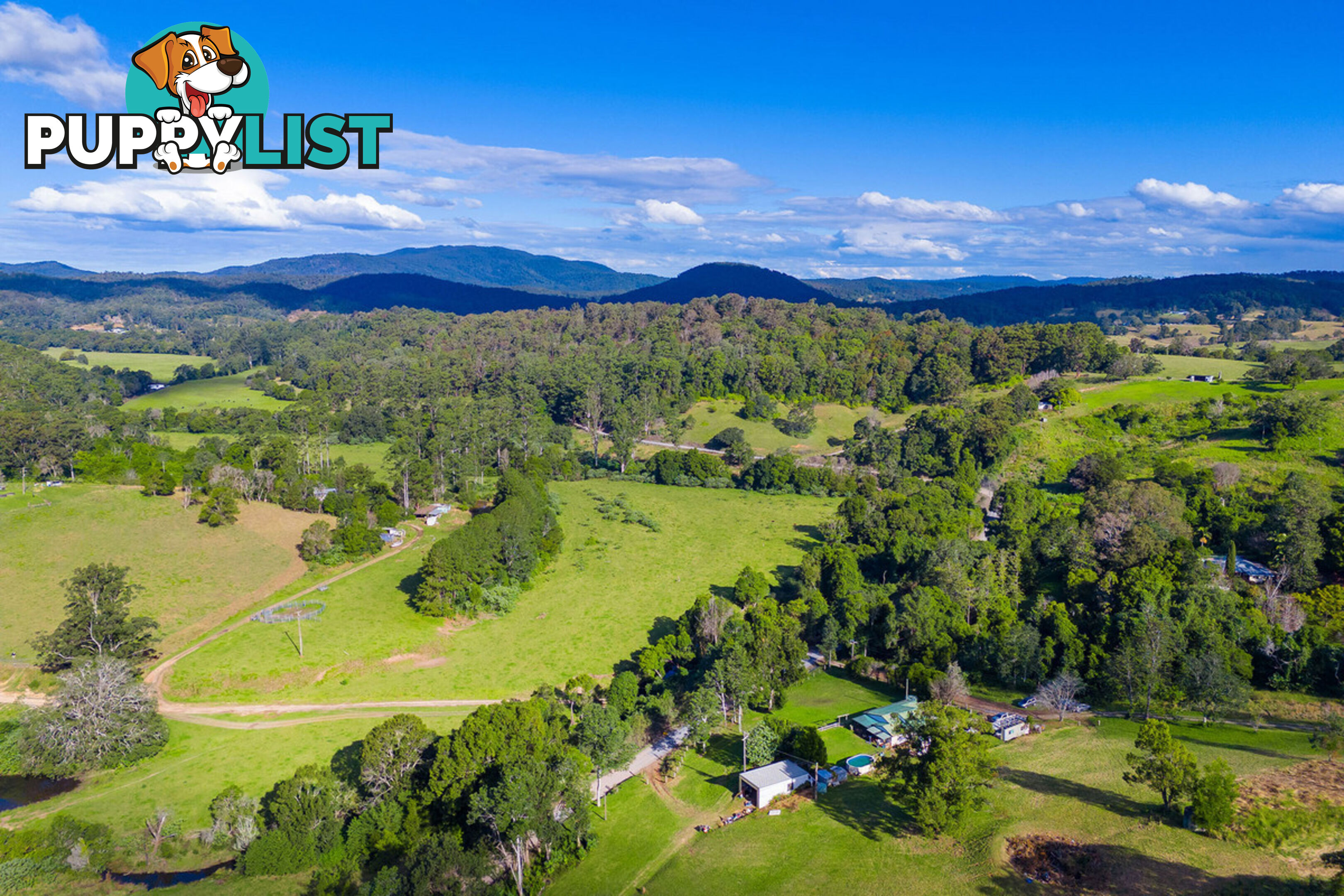 325 Black Creek Road BLACK CREEK NSW 2439