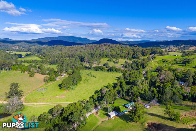 325 Black Creek Road BLACK CREEK NSW 2439