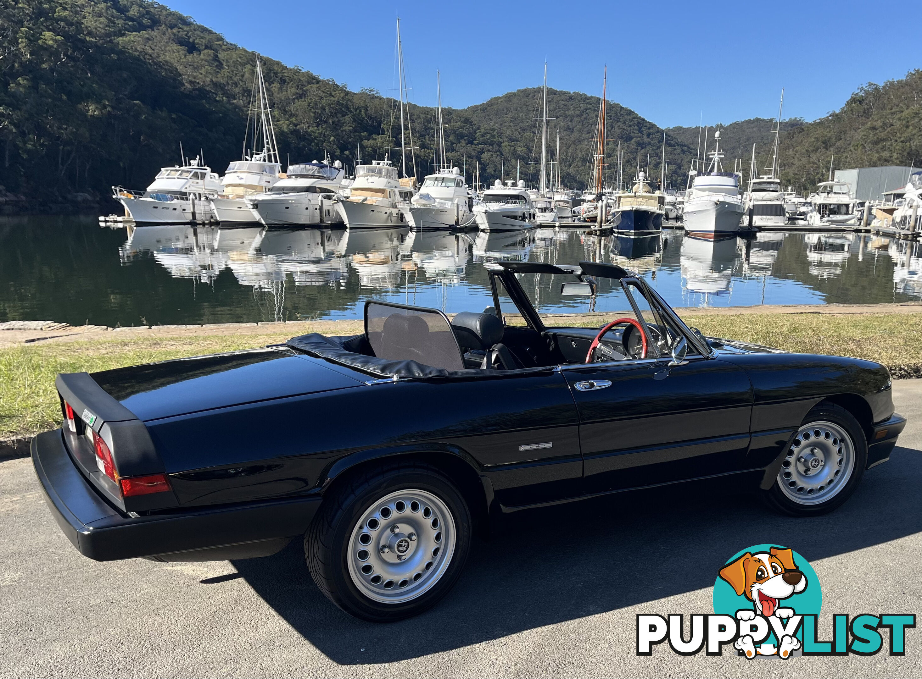 1983 Alfa Spider