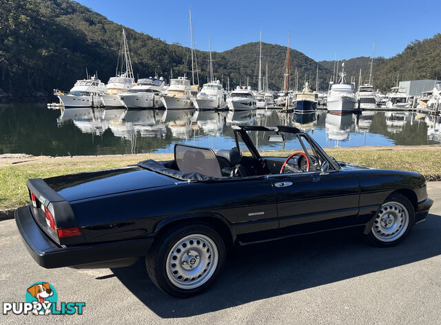 1983 Alfa Spider