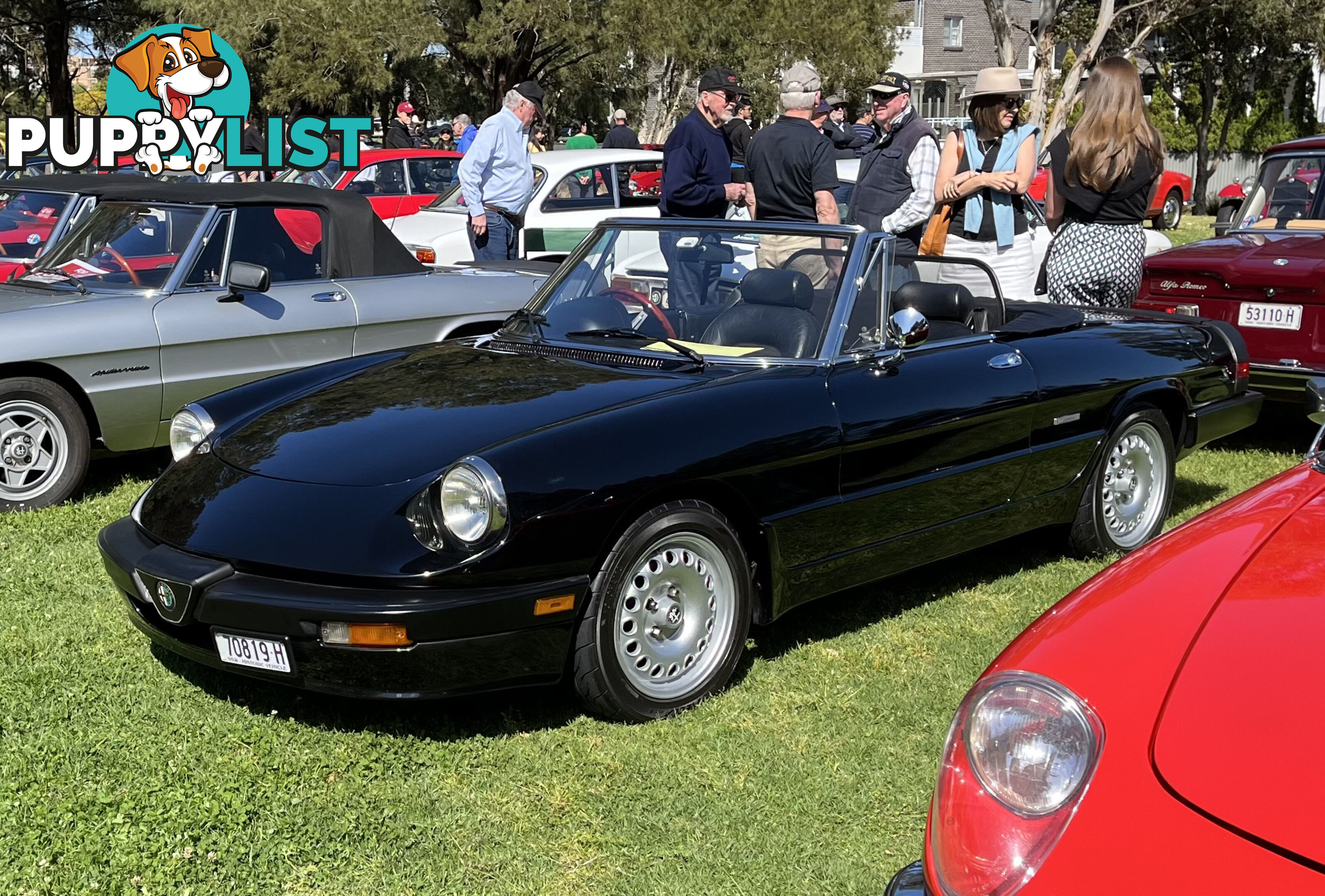 1983 Alfa Spider