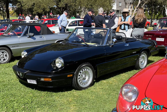 1983 Alfa Spider