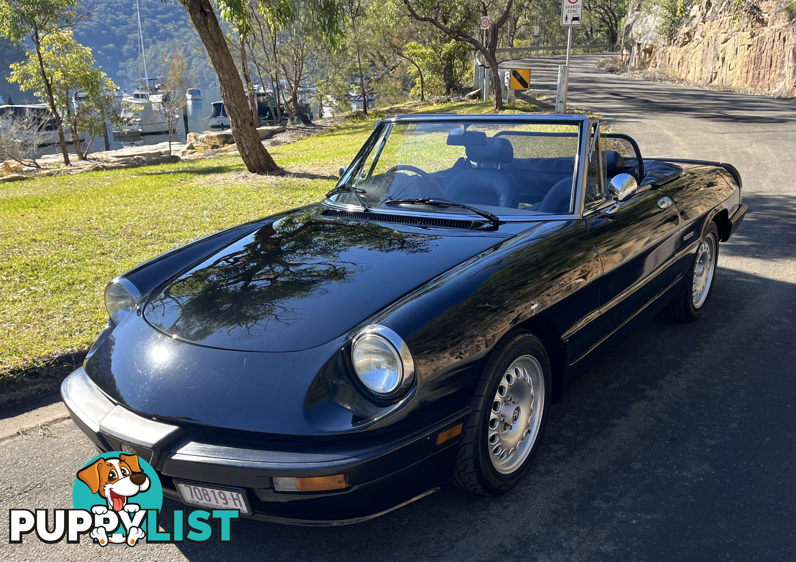 1983 Alfa Spider