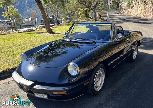 1983 Alfa Spider