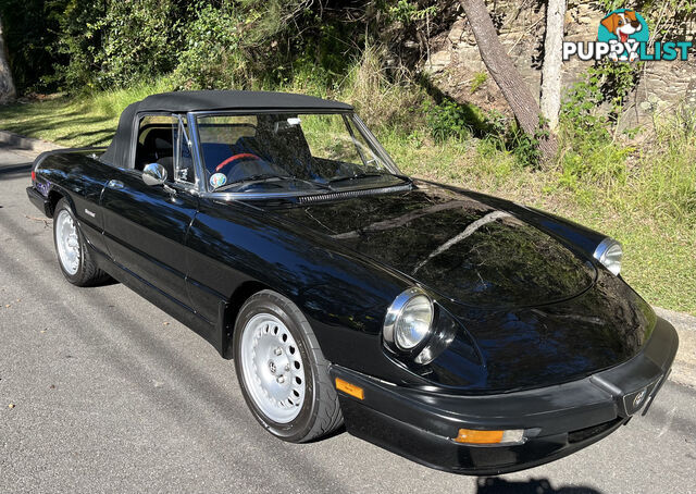 1983 Alfa Spider