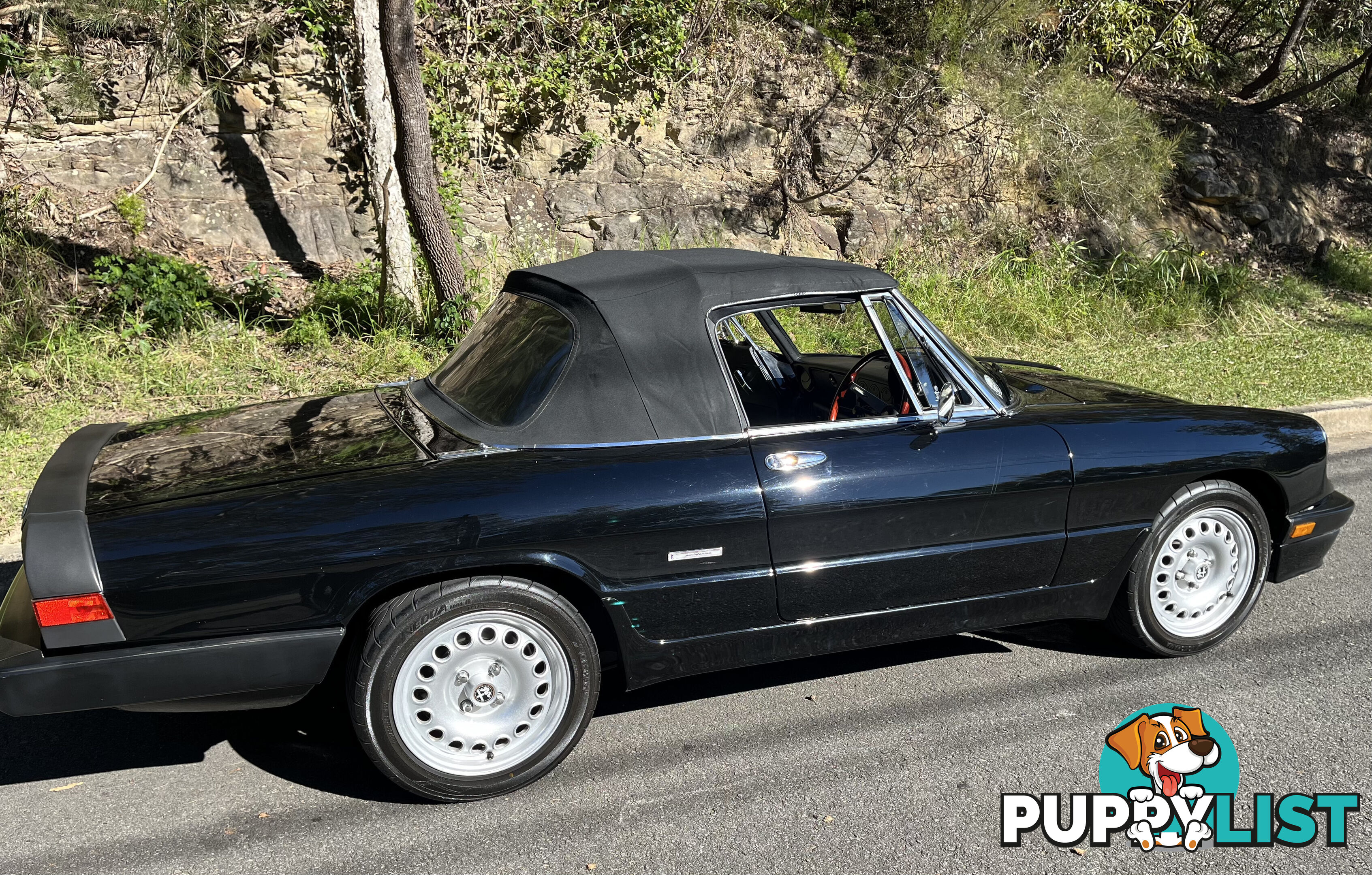 1983 Alfa Spider