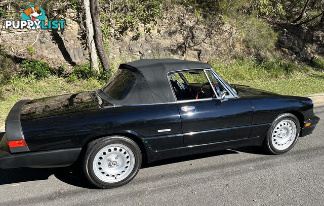 1983 Alfa Spider