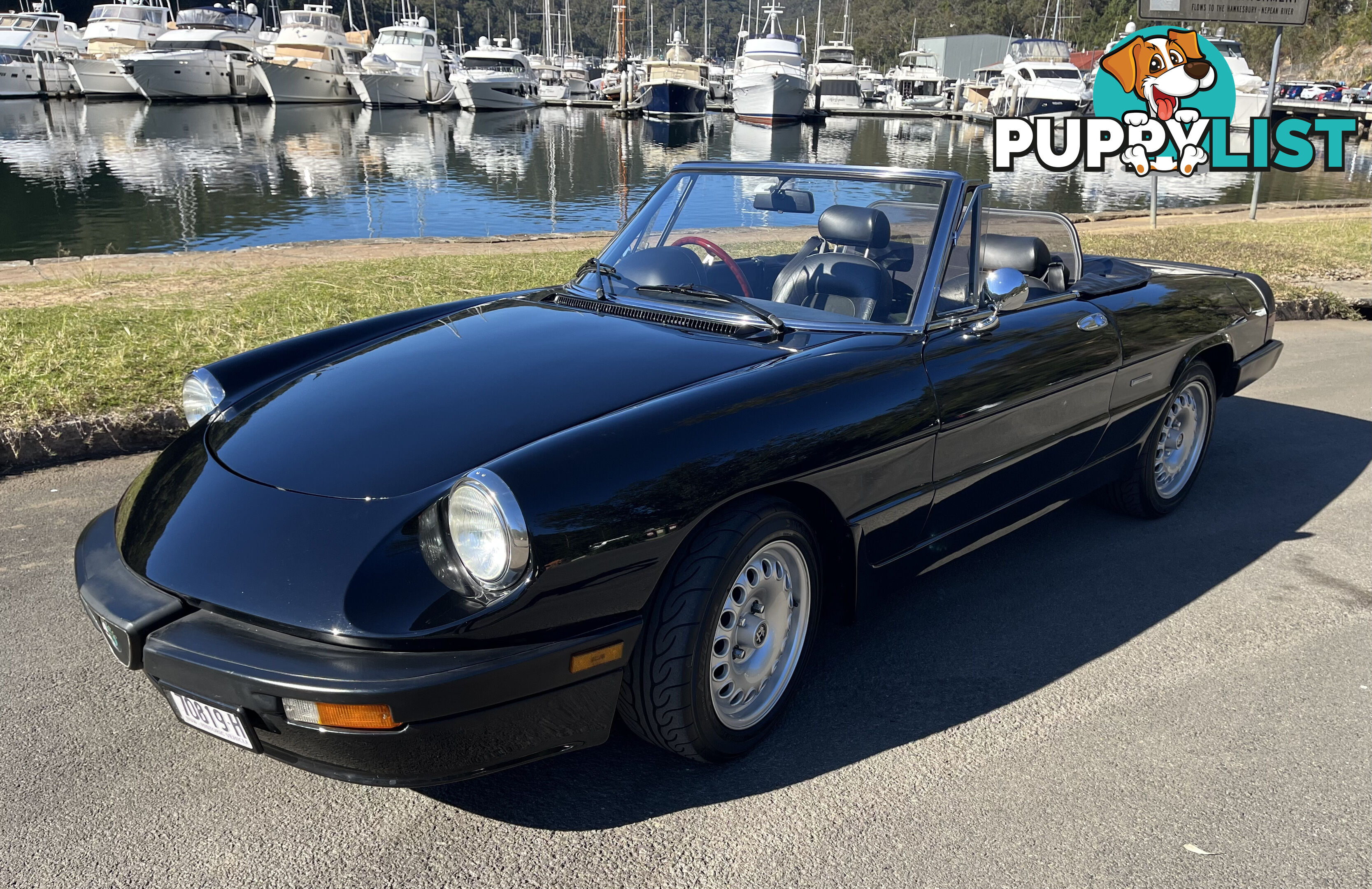 1983 Alfa Spider